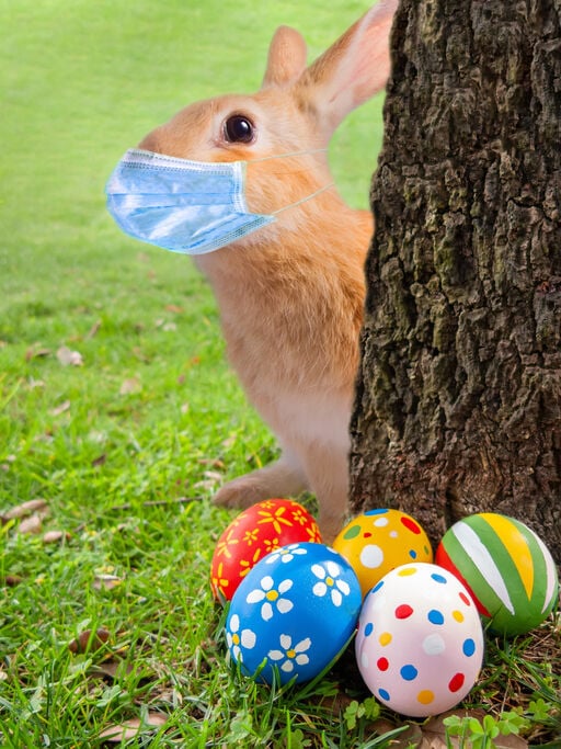 Easter Bunny mask
